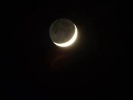 Talking To The Moon