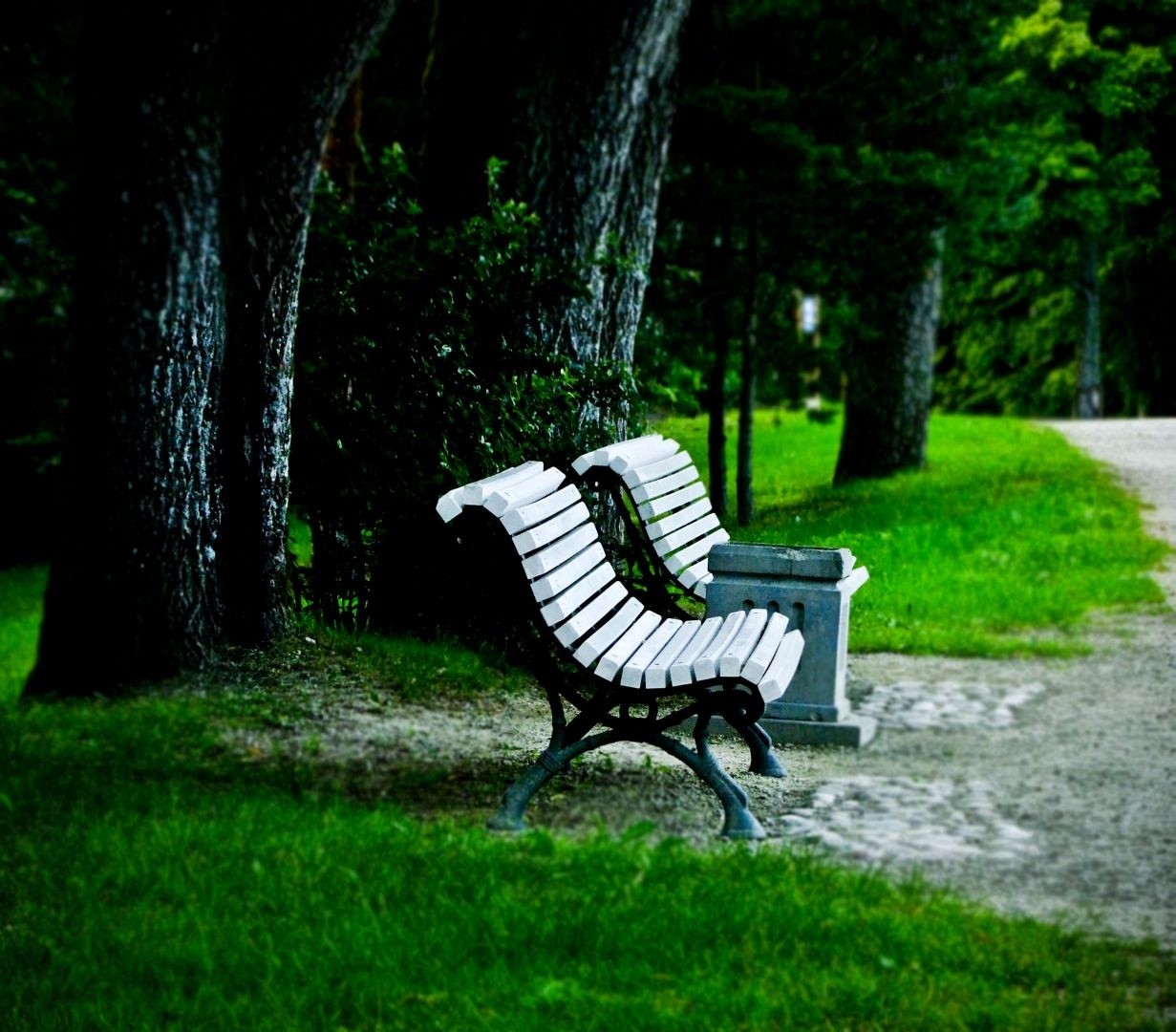 Just-benches
