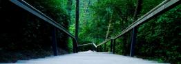 Bridge  into the unknown