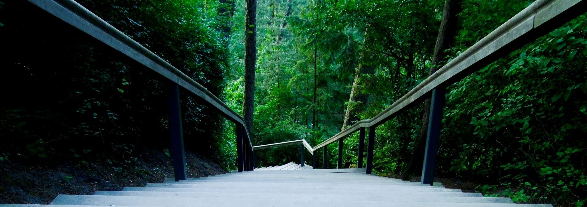 Bridge-into-the-unknown