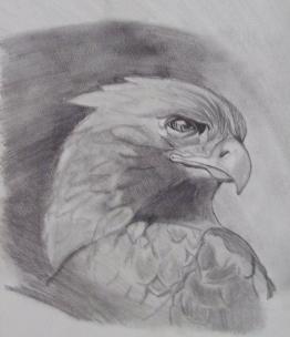 Eagle
