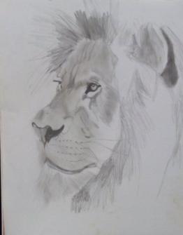 lion