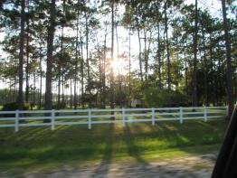 Sunny Afternoon
