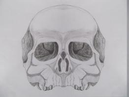 30 Seconds To Mars skull