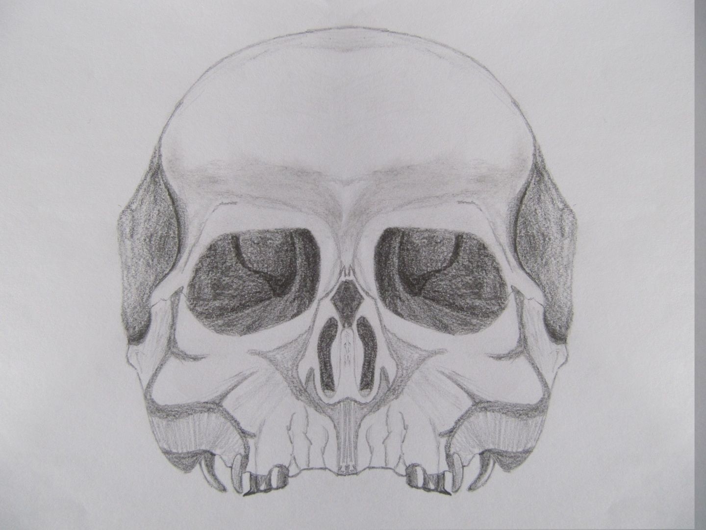 30-Seconds-To-Mars-skull