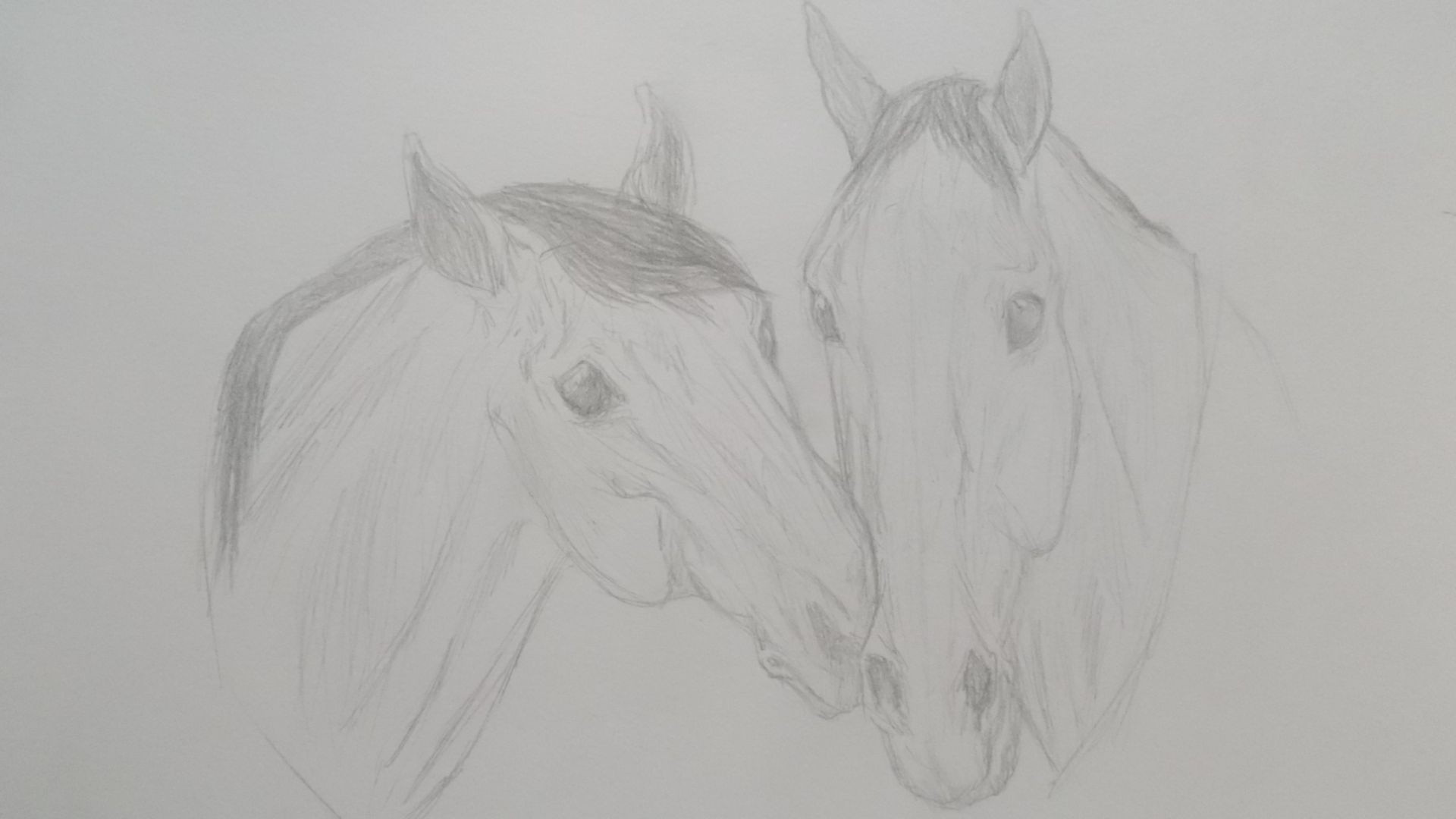Two-horses