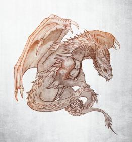 Shelter - Dragon Sketch