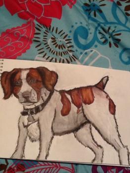 Brittany Spaniel