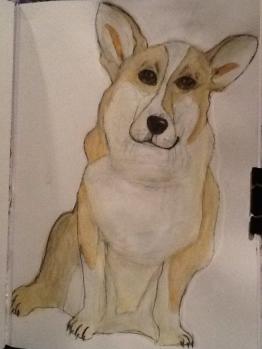 Cardigan Welsh Corgi