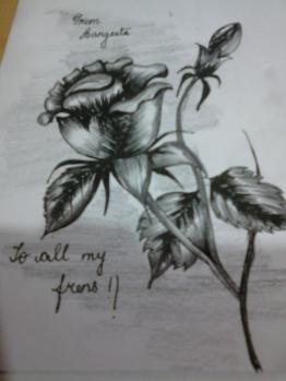 Rose