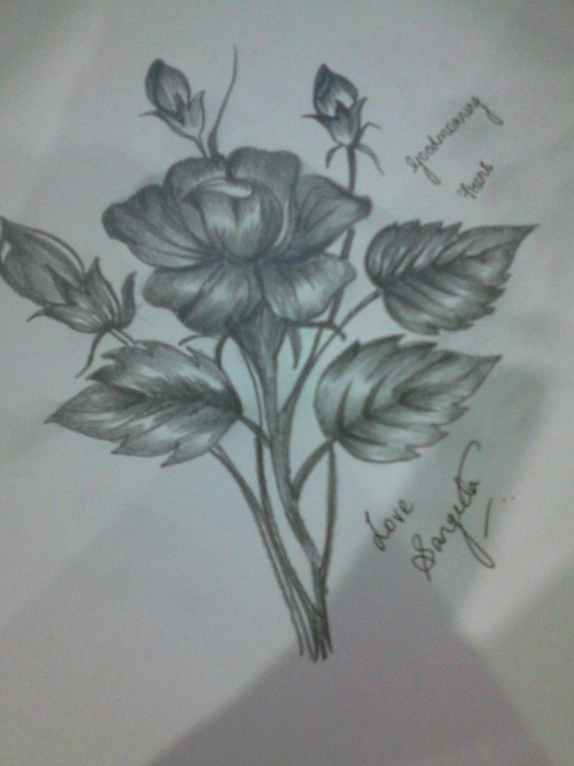 I-love-roses