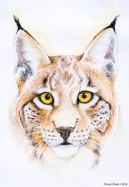 Lynx
