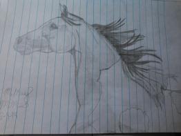 Paint Arabian
