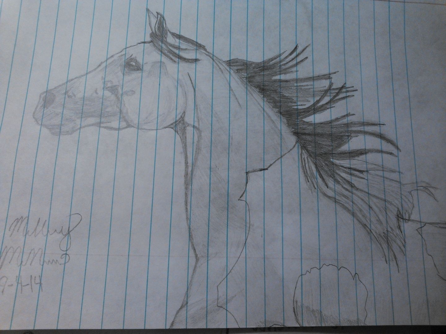 Paint-Arabian