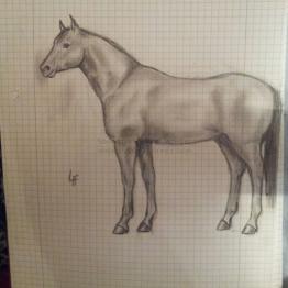 westernhorse