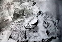 Wolves