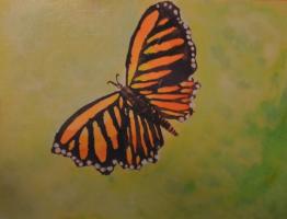 Monarch butterfly
