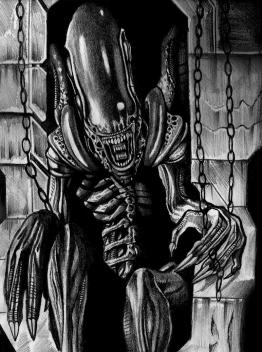 Xenomorph
