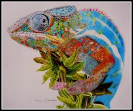 Panther Chameleon