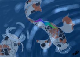 Koi fish