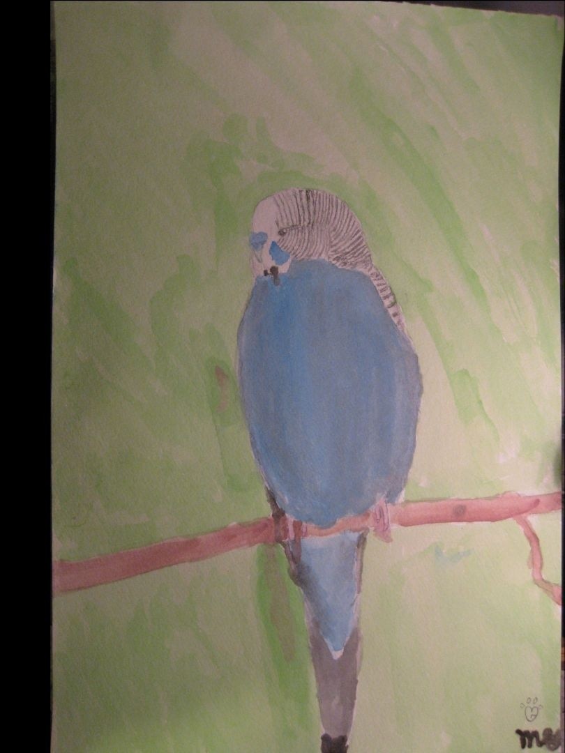 Budgie-Painting