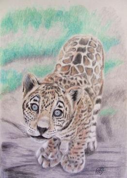 Jaguarkid