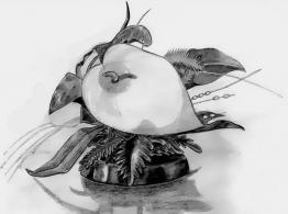 Still life by Kana Go