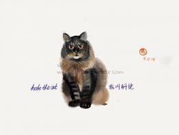 cat