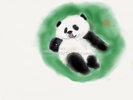 panda