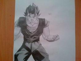 Vegetto