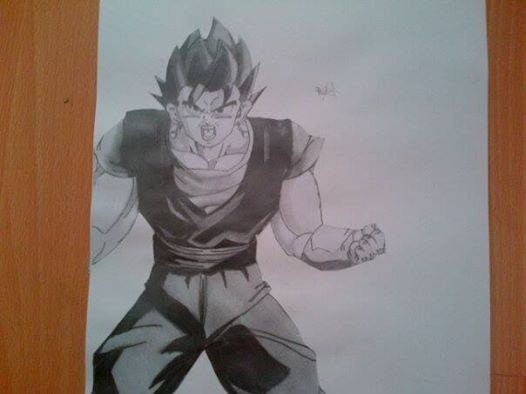 Vegetto