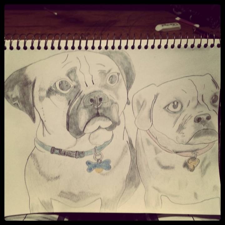 Dogs