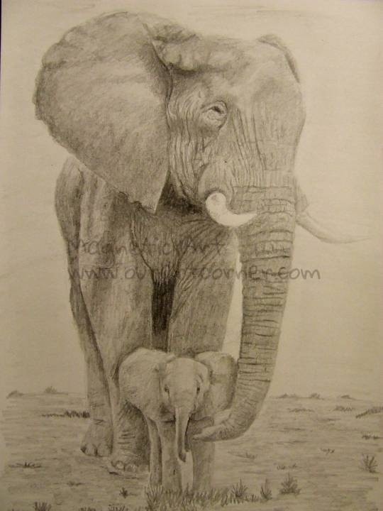 Elephants