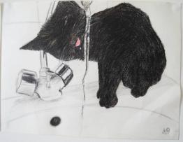 Opal3 sort sa langu3