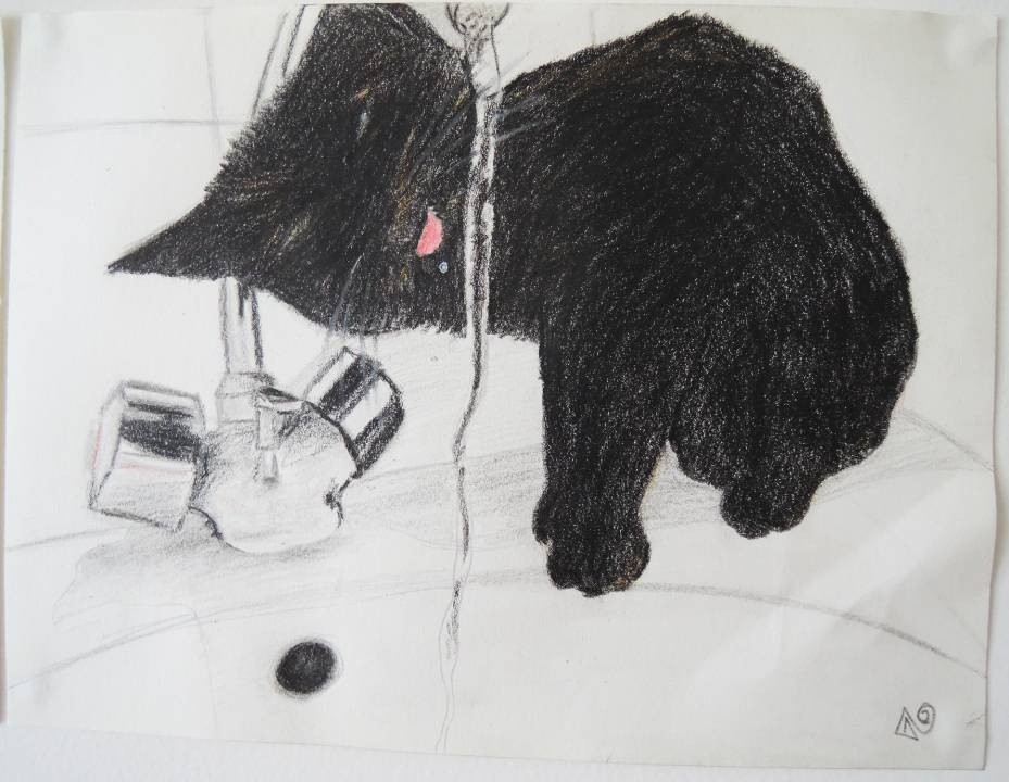 Opal3-sort-sa-langu3