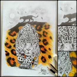 Leopard