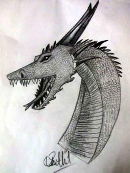 Dragon by  shisgone 