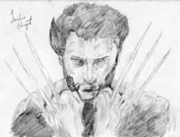 The Wolverine