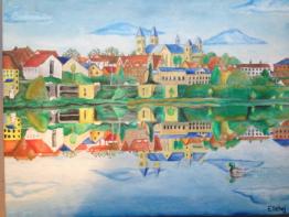 Duck over Viborg