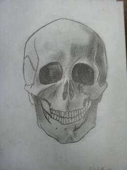 just a skull