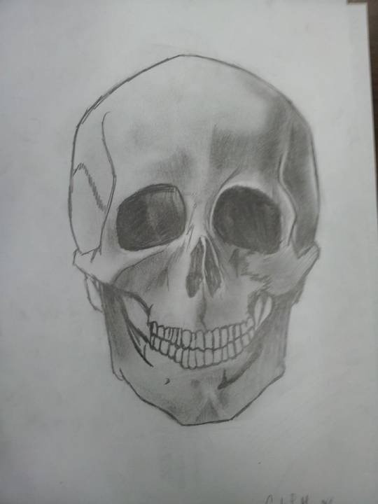 just-a-skull