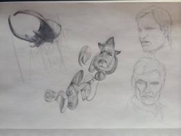 Sketches