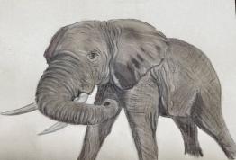 #WorldElephantDay