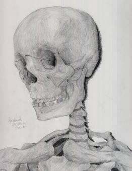 Skeleton by GhostlyHobo