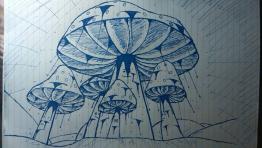 Mushrooms