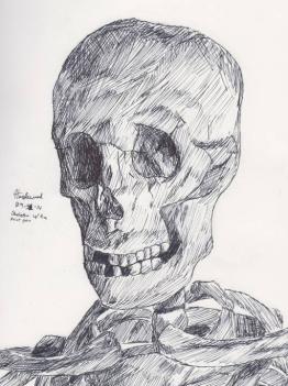 Skeleton w/ Fine Point Pen by GhostlyHobo