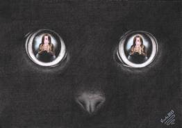 In the eyes of black cat