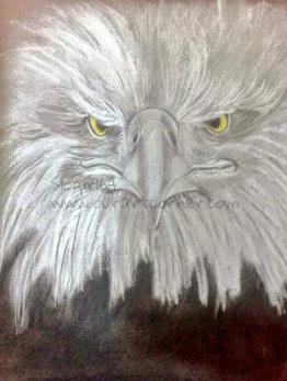 Eagle