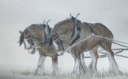 ploughing