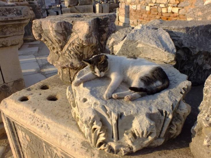 Guardian of Ephesus by  Dimasaurus Art 